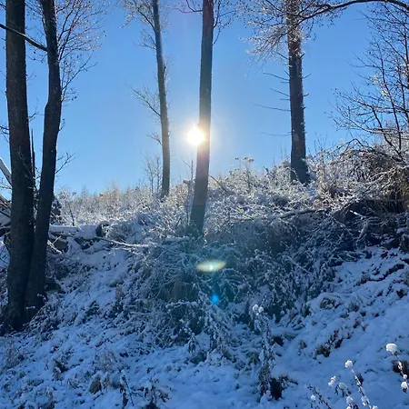 Appartement Jesper *