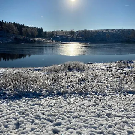 Jesper * בראונלאגה