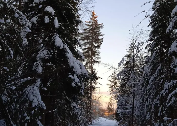 Апартаменты Jesper