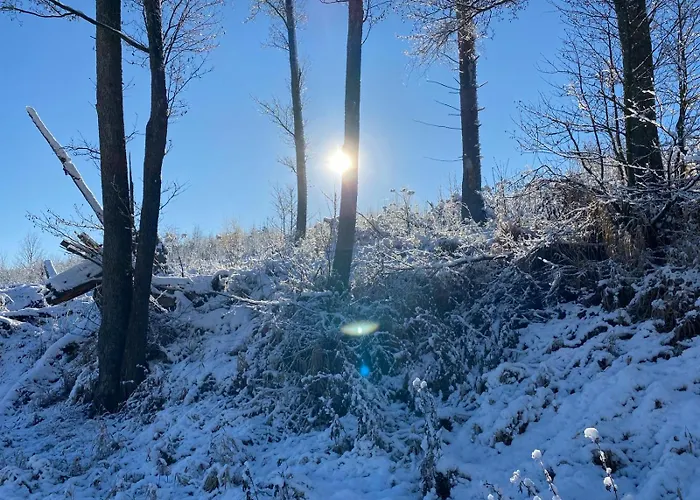 Апартаменты Jesper *